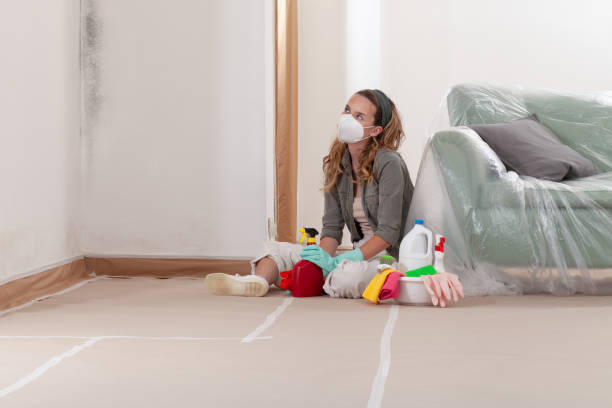 Reliable Black Mold Remediation contractor in Chalfont, PA by Car Mold Remediation
